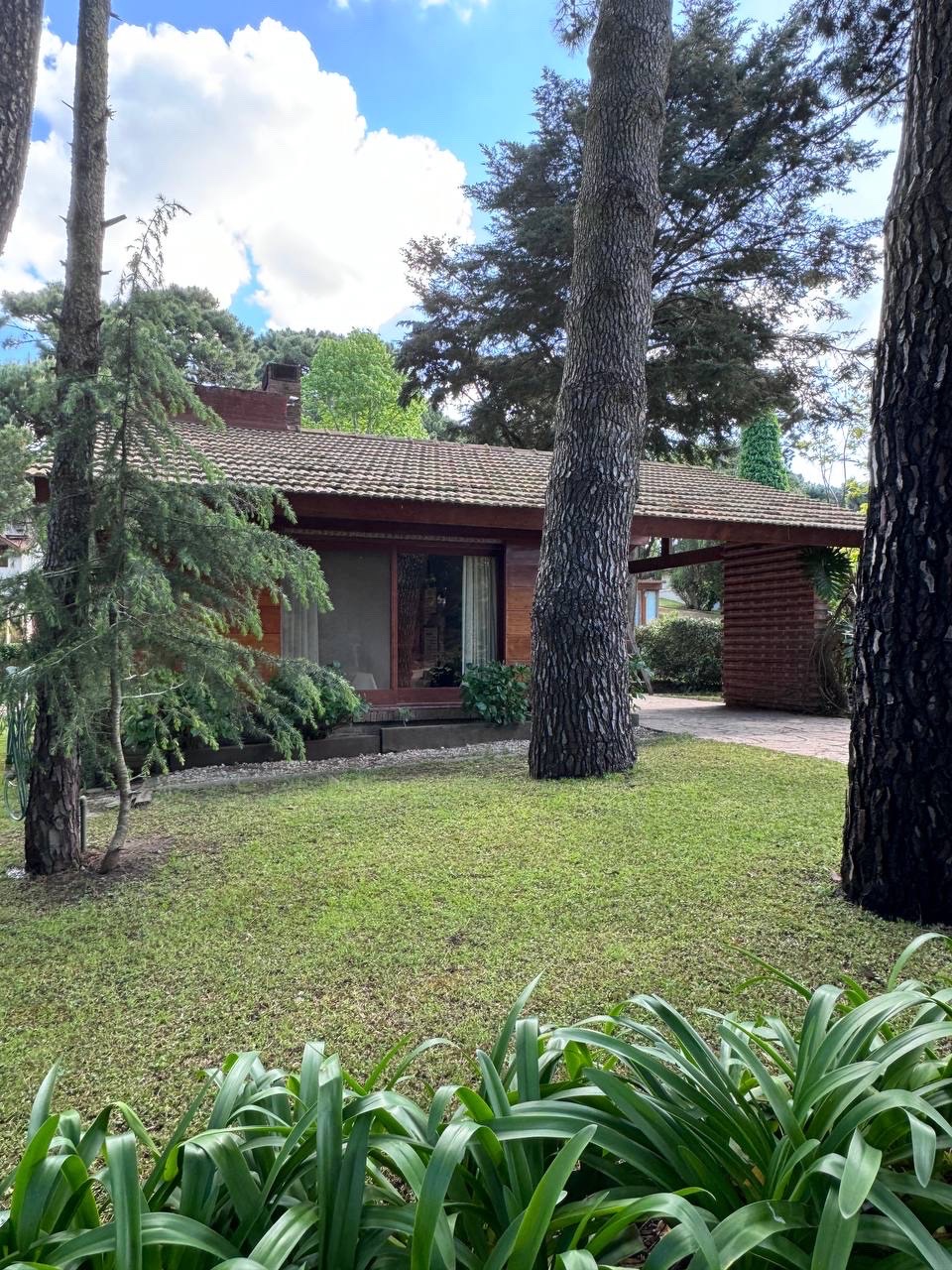 Casa en alquiler Pinamar - jardín arbolado entre pinos